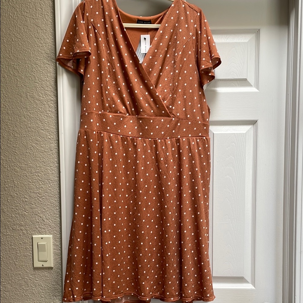 Lane Bryant Polka Dot Dress
